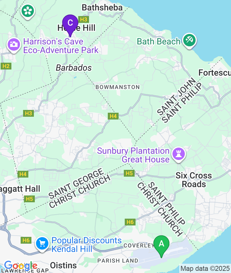 Barbados Available Airport Options